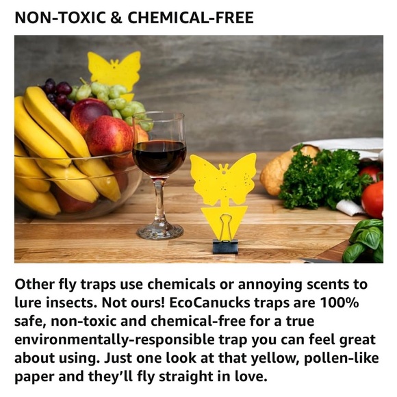 $2 Add-On 🆕Flying Insects Trap 3-Pack - Picture 5 of 16